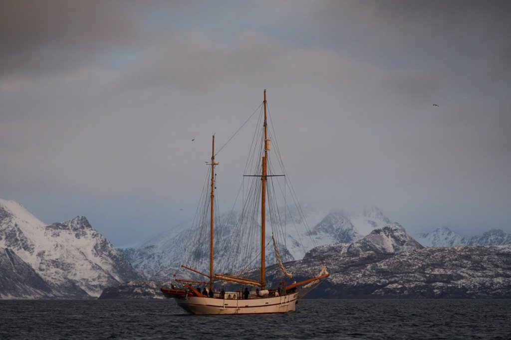 Impressionen, Skjervøy